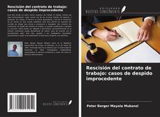 Borítókép a  Rescisión del contrato de trabajo: casos de despido improcedente - hoz