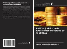 Capa do livro de Análisis jurídico de la futura unión monetaria en la CEDEAO 