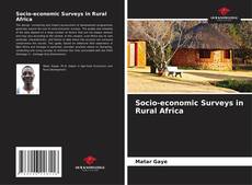 Socio-economic Surveys in Rural Africa kitap kapağı
