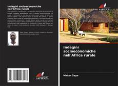 Buchcover von Indagini socioeconomiche nell'Africa rurale