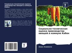 Buchcover von Социально-техническая оценка производства овощей в коммуне Кабон