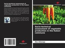 Capa do livro de Socio-technical assessment of vegetable production in the Kabon commune 
