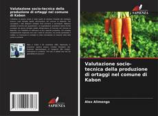 Valutazione socio-tecnica della produzione di ortaggi nel comune di Kabon的封面