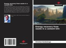 Buchcover von Energy recovery from waste in a cement kiln