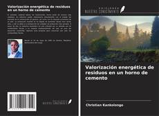 Bookcover of Valorización energética de residuos en un horno de cemento