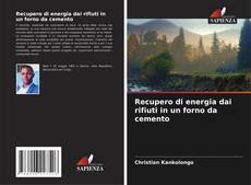 Buchcover von Recupero di energia dai rifiuti in un forno da cemento