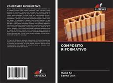 COMPOSITO RIFORMATIVO kitap kapağı