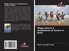 Bookcover of Stage esterni e competenze di lavoro in team