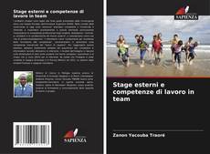 Stage esterni e competenze di lavoro in team的封面