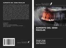 Buchcover von AUMENTO DEL SENO MAXILAR