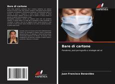 Bare di cartone的封面