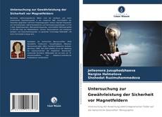 Portada del libro de Untersuchung zur Gewährleistung der Sicherheit vor Magnetfeldern