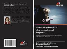 Studio per garantire la sicurezza dai campi magnetici的封面