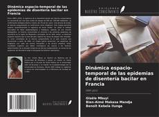 Bookcover of Dinámica espacio-temporal de las epidemias de disentería bacilar en Francia