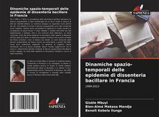 Buchcover von Dinamiche spazio-temporali delle epidemie di dissenteria bacillare in Francia