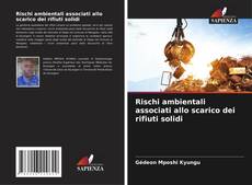 Buchcover von Rischi ambientali associati allo scarico dei rifiuti solidi