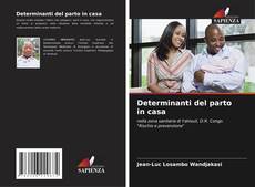 Buchcover von Determinanti del parto in casa