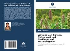 Wirkung von Dünger, Biokompost und Biodünger auf Futtersorghum kitap kapağı