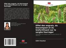 Bookcover of Effet des engrais, du biocompost et du biofertilisant sur le sorgho fourrager