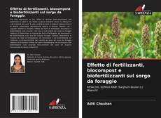 Обложка Effetto di fertilizzanti, biocompost e biofertilizzanti sul sorgo da foraggio