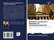 Влияние налогового бремени на экономический рост kitap kapağı