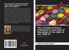 Capa do livro de The concept of Social Protection in the field of Education in the light of the 1988 FC 