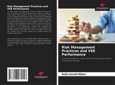Capa do livro de Risk Management Practices and VSE Performance 