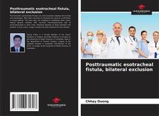Buchcover von Posttraumatic esotracheal fistula, bilateral exclusion
