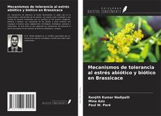 Capa do livro de Mecanismos de tolerancia al estrés abiótico y biótico en Brassicace 