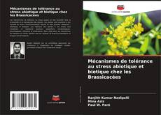 Capa do livro de Mécanismes de tolérance au stress abiotique et biotique chez les Brassicacées 