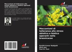 Bookcover of Meccanismi di tolleranza allo stress abiotico e biotico operanti nelle brassicacee