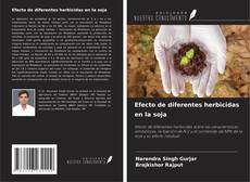 Capa do livro de Efecto de diferentes herbicidas en la soja 