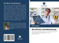 Berufliche Lärmbelastung kitap kapağı