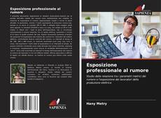 Bookcover of Esposizione professionale al rumore