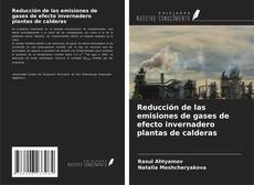 Portada del libro de Reducción de las emisiones de gases de efecto invernadero plantas de calderas
