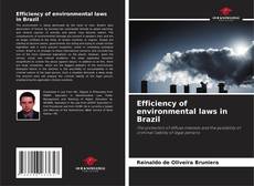 Capa do livro de Efficiency of environmental laws in Brazil 