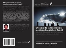Bookcover of Eficacia de la legislación medioambiental en Brasil