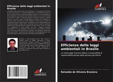 Buchcover von Efficienza delle leggi ambientali in Brasile