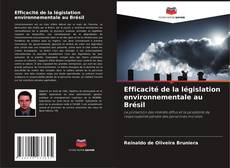 Capa do livro de Efficacité de la législation environnementale au Brésil 