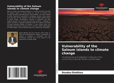 Portada del libro de Vulnerability of the Saloum islands to climate change