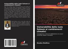 Buchcover von Vulnerabilità delle isole Saloum ai cambiamenti climatici