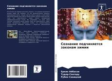 Buchcover von Сознание подчиняется законам химии