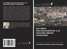 Los datos macroeconómicos y el mercado laboral camerunés kitap kapağı