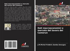 Bookcover of Dati macroeconomici e mercato del lavoro del Camerun