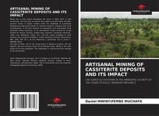 Bookcover of ARTISANAL MINING OF CASSITERITE DEPOSITS AND ITS IMPACT