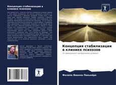 Buchcover von Концепция стабилизации в клинике психозов