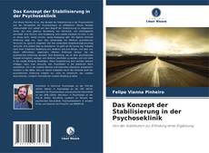 Das Konzept der Stabilisierung in der Psychoseklinik kitap kapağı