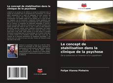 Bookcover of Le concept de stabilisation dans la clinique de la psychose