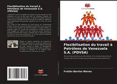 Capa do livro de Flexibilisation du travail à Petróleos de Venezuela S.A. (PDVSA) 