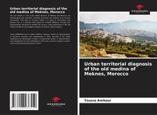 Urban territorial diagnosis of the old medina of Meknes, Morocco kitap kapağı